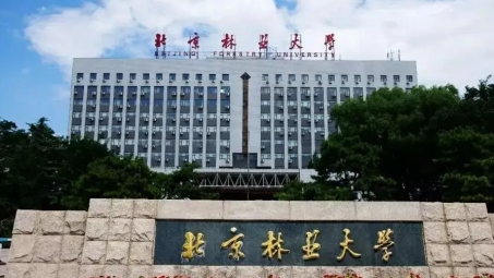 北京林业大学VPN服务，便捷网络资源接入平台