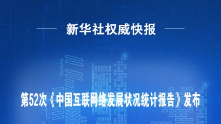 网络封锁升级，我国网民如何应对VPN失效挑战？