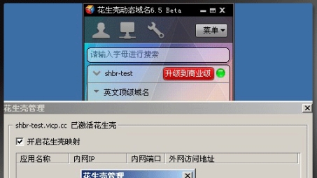 花生壳VPN——安全稳定的高效网络连接首选