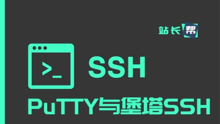 SSH客户端与VPN协同，打造网络安全新策略