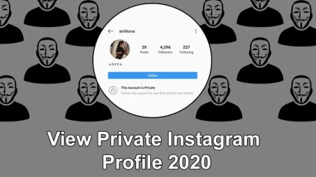 破解Instagram VPN限流之谜，揭秘原因及解决方案