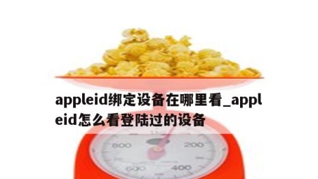 苹果用户VPN使用揭秘，安全上网之道