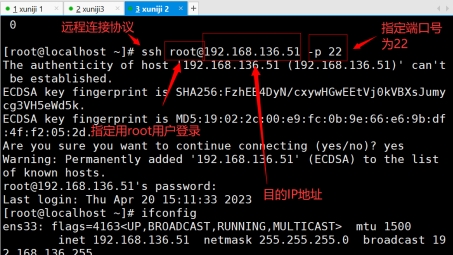 SSH客户端与VPN，构建高效远程连接的终极指南