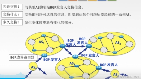 L3VPN与BGP技术在网络通信领域的深度应用与优化策略