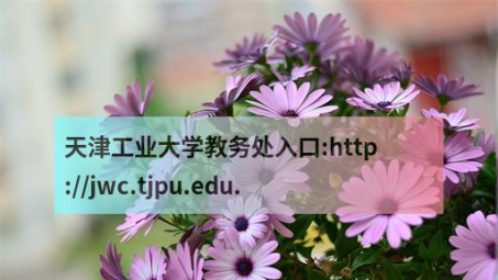 天津工业大学VPN服务，开启学术资源共享新通道