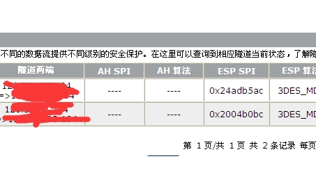 Er3100 IPsec VPN，助力企业构建安全高效的网络环境