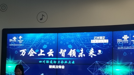 成都数字生活之旅，VPN守护网络安全新境界