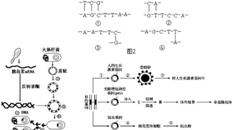 Shrew Soft VPN导入PCF步骤详解与应用探究