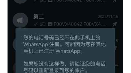 WhatsApp VPN使用受限之谜，真相解析及解决方案