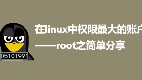 VPN使用是否需要root权限？深度解析与操作手册