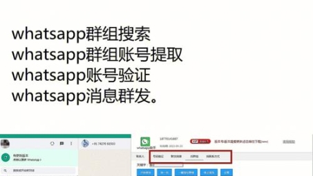 WhatsApp使用VPN的必要性，揭秘网络安全新通道