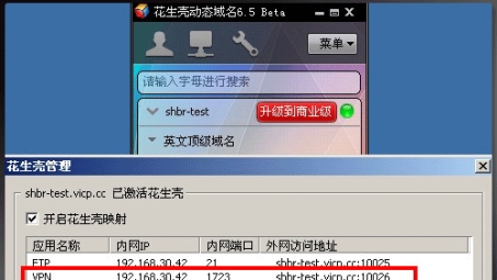 花生壳一键配置VPN，轻松享受安全远程访问