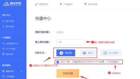 轻松充值91VPN，畅享无忧高速网络体验