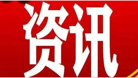 国寿VPN服务，揭秘guosen.com.cn在安全办公中的关键作用