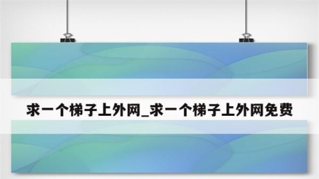 梯子窥视，VPN在现代网络世界的关键作用