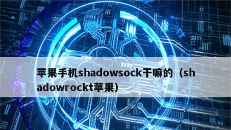 Shadowsocks与VPN的深度对比解析