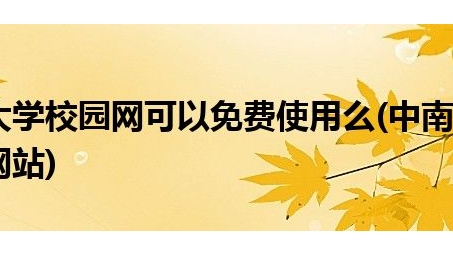 中南大学VPN自助办理攻略，轻松畅享校园内外网络连接