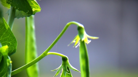 豆荚VPN注册攻略，解锁全球网络，畅游无界新体验