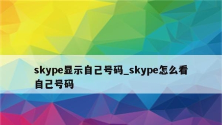 Skype通过VPN显示真实号码的技巧与安全要点