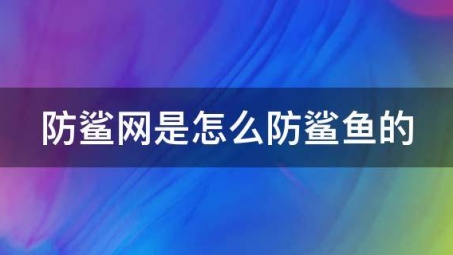 鲨鱼VPN，护航网络安全，解锁全球互联网自由之旅