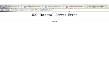 突破500 Internal Server Error，VPN使用故障排查与解决攻略