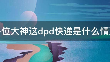 DPD快递携手VPN技术，开启物流信息全球传递加速新时代