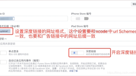 探索Facebook VPN在iOS平台的应用体验及深度解析