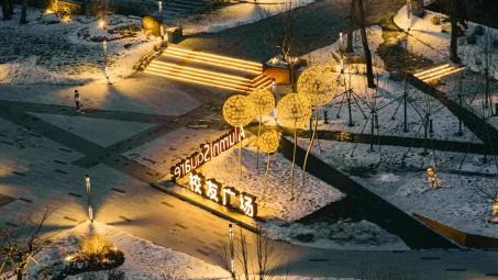 东北林业大学开启学术之旅，VPN服务助力学子畅游知识海洋