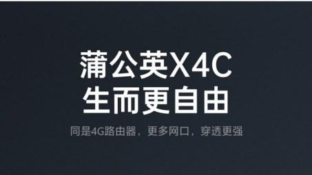 4G路由器+VPN，高速网络与隐私安全的双重保障