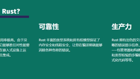 Rust跨国开发，VPN在安全与效率中的角色探讨