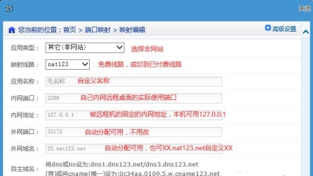 NetShare VPN1300远程连接与资源共享设置攻略