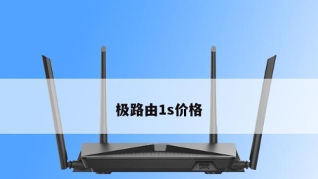 极路由1S VPN挂载，解锁高速稳定网络自由之旅