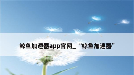 鲸鱼VPN，护航隐私，引领网络安全的航向标