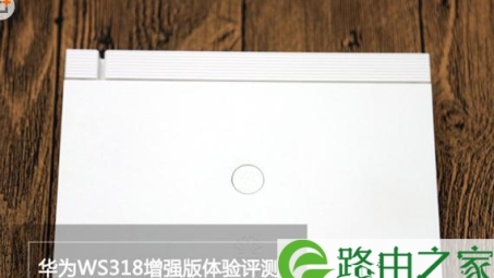 华为WS318 VPN，全球畅游，安全无忧的网络自由伴侣