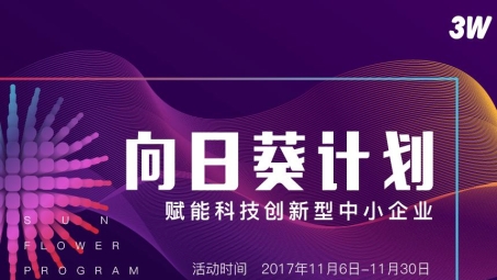 向日葵VPN，企业内网访问利器，加速业务全球化拓展