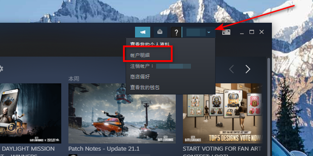 全球畅游指南，Steam VPN选购攻略,Steam VPN示意图,steam VPN購買,VPN服,VPN的,购买VPN服务,第1张