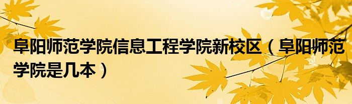 阜阳师范学院VPN，助力学子学术探索，畅游网络知识海洋,阜阳师范学院VPN示意图,阜阳师范学院 vpn,VPN服,VPN的,at,第1张