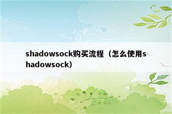 Shadowsock与VPN，深入解析区别与关联,shadowsock 和vpn区别,VPN服,VPN的,VPN在,第1张