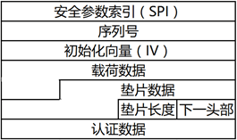 现代网络通信中ESP协议与VPN类型的关键解析,网络图示,vpn 类型 esp,VPN服,VPN的,第1张