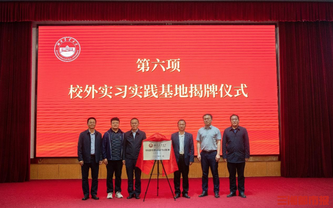 湖南农业大学智慧校园，VPN助力学子远程学习新体验,湖南农业大学VPN示意图,湖南农大vpn,VPN的,第1张