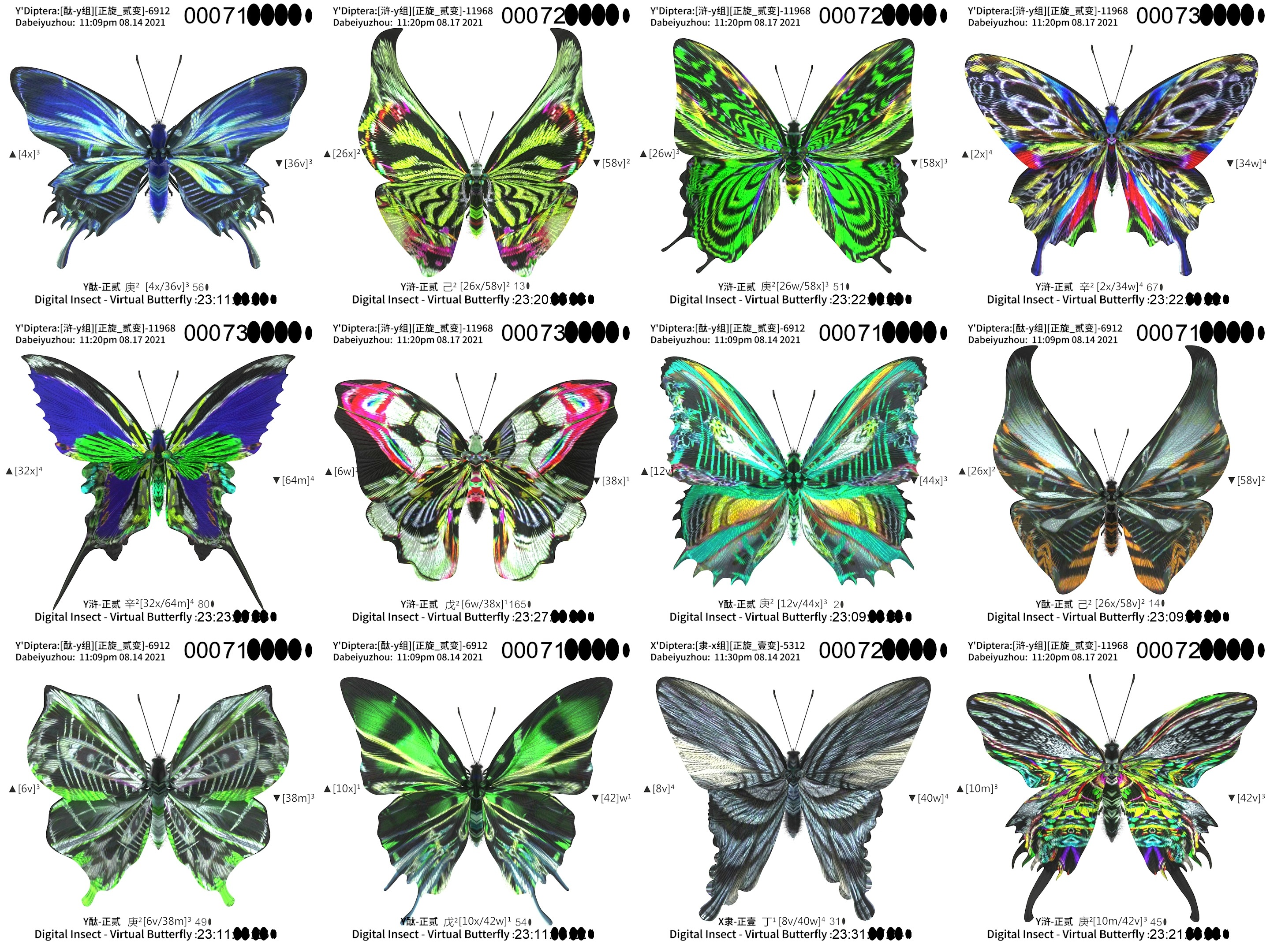 蝴蝶VPN性价比之选，畅享全球网络自由的价格解析,蝴蝶VPN宣传图,butterfly VPN价格,VPN的,第1张