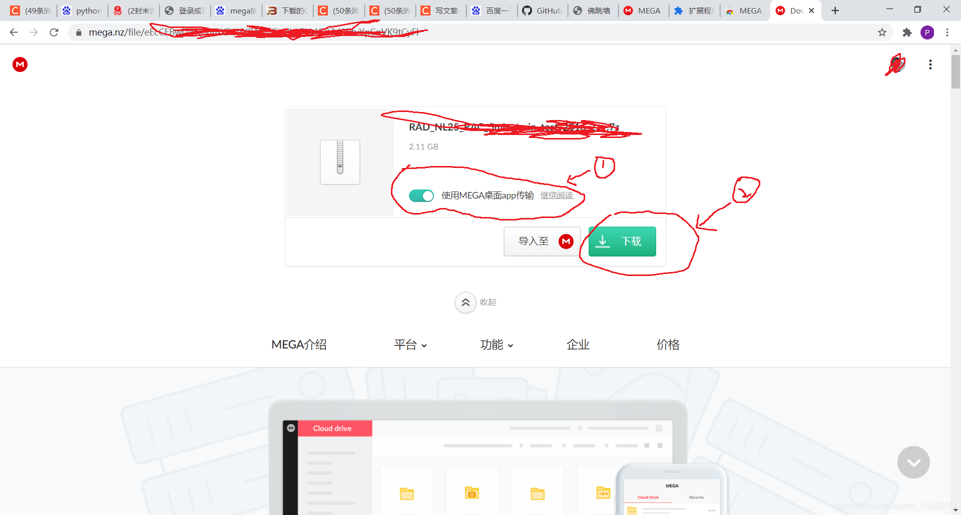 Mega盘VPN，解锁高效安全文件分享新境界,Mega盘VPN示意图,mega盘vpn,VPN的,第1张