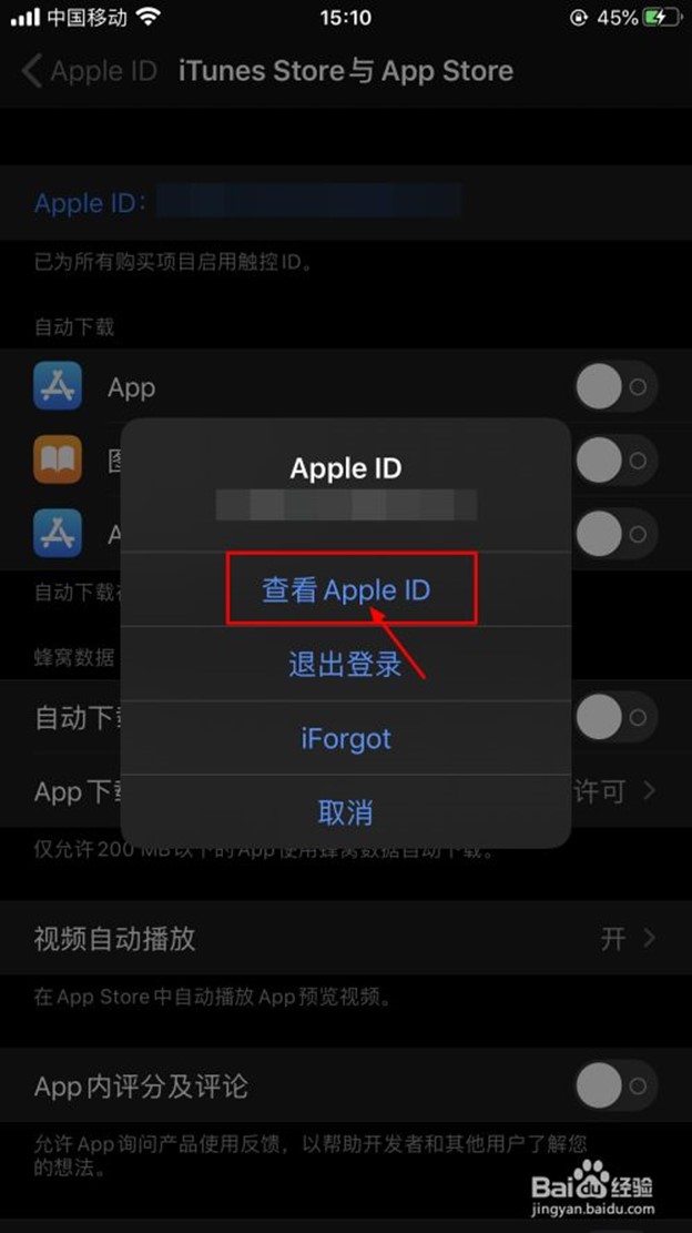 iOS设备VPN退款攻略，安全翻墙，解锁应用退款新方法,iOS设备使用退款VPN的示例图,iOS退款VPN,VPN的,VPN安,第1张