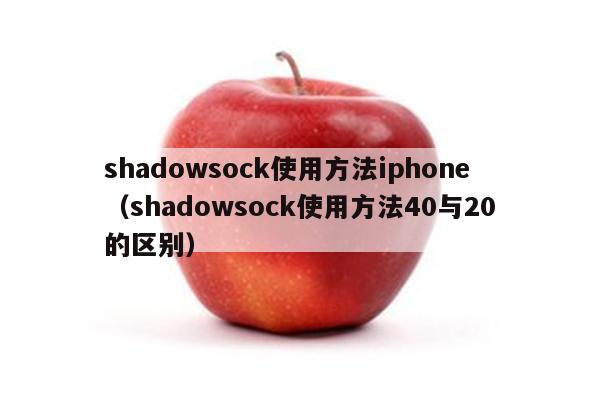 揭秘Shadowsock与VPN，差异解析及各自应用领域,目录导航：,shadowsock和vpn区别,VPN服,VPN的,VPN在,第1张