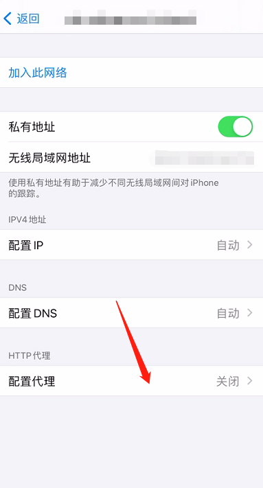 iOS VPN设置指南，安全上网一步到位,VPN示意图,ios代理vpn设置,VPN服,VPN的,VPN后,第1张