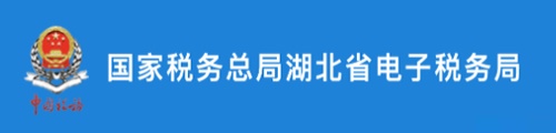 湖北国税打造高效便捷的VPN税务服务平台,湖北国税VPN示意图,湖北国税vpn,VPN的,VPN在,第1张