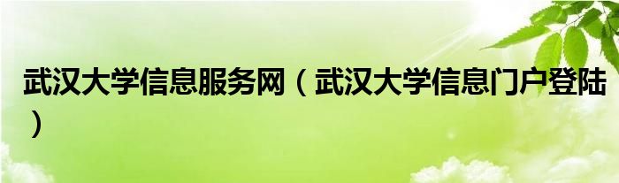 武汉大学VPN登录攻略，步骤解析与问题解答,武汉大学VPN登录界面,武汉大学VPN登录,VPN服,vpn,vpn.,第1张