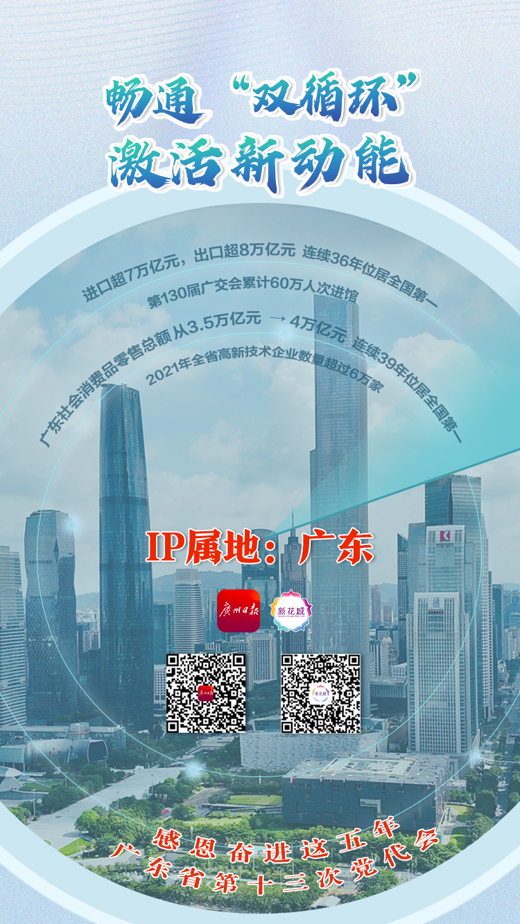 广东VPN市场发展趋势与前景分析,广东省VPN发展图示,广东省VPN,VPN服,VPN的,VPN行,第1张