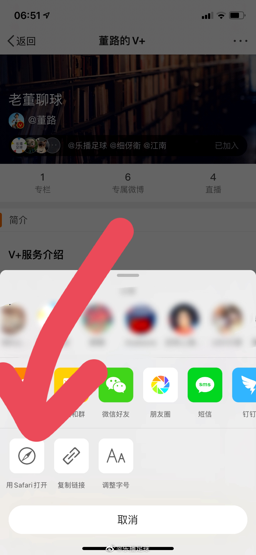 应用篇，iPhone用户如何利用付费VPN提升隐私保护与网络自由,付费VPN示意图,iphone 付费vpn 2017,VPN服,VPN的,VPN在,第1张