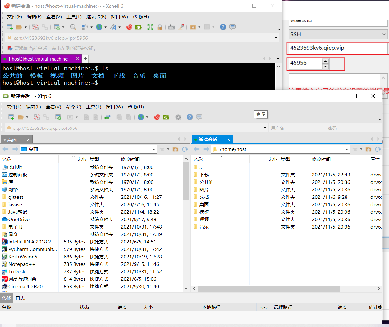 Linux系统下配置VPN访问内网地址指南,linux vpn访问内网地址,VPN服,at,第1张